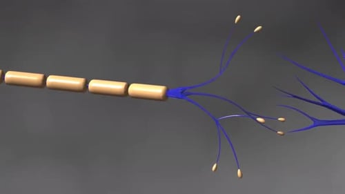 Rendu 3D numérique montrant une connexion synaptique neurale