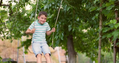 Happy Little Boy Swinging on a Swing in the Garden