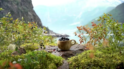 Cup of Berries in a Mountain Landscape