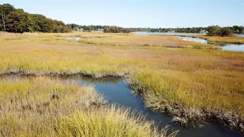 Aerial Flight View Over Saltmarsh and forest in Milton Harbor