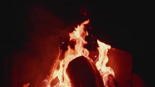 Roaring Campfire Burns Brightly in the Night