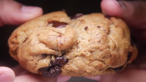 Appetizing Chocolate Chip Cookie Pulled Apart Close-Up