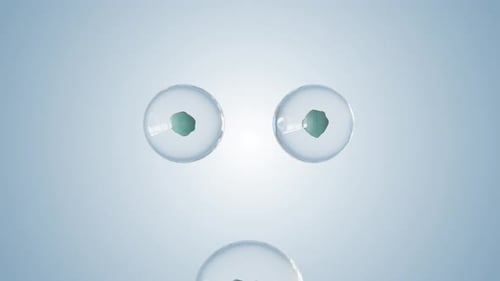 Realistic 3D Biological Cell Division Animated Background