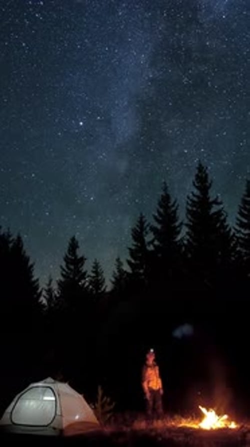 Camping-car de nuit avec feu sous le ciel étoilé et pins dans la clairière