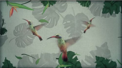 Animated Hummingbirds with Tropical Flowers and Leaves Frame