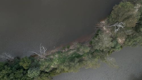 Aerial top down bird eye view of Parramatta River, New South Wales, Australia