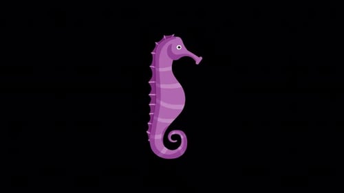 Animated Purple Seahorse Swimming Loop in Flat Design Style