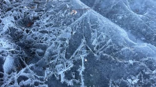 Frozen Ice Patterns on a Cold Winter Day