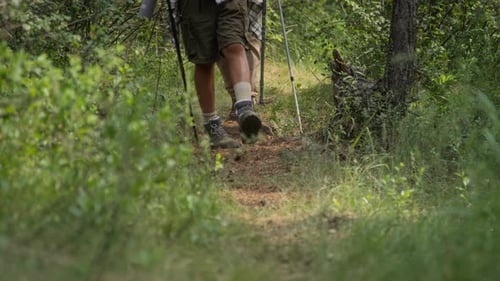 Beine zweier anonymer Wanderer mit Trekkingstöcken, die im Wald spazieren