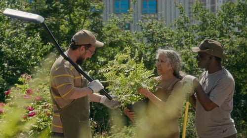 Des voisins multiethniques heureux discutent tout en effectuant des travaux d'horticulture dans un parc local