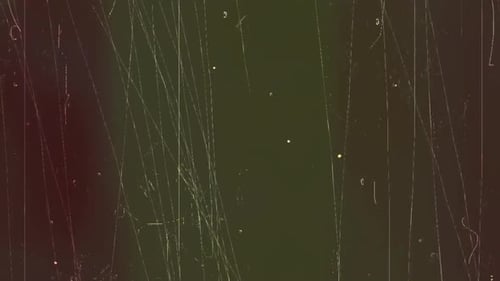 Animación de transición con errores en alta definición