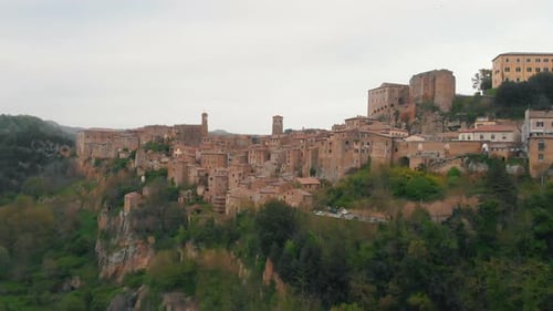 Luftaufnahme der Altstadt, umgeben von Wald