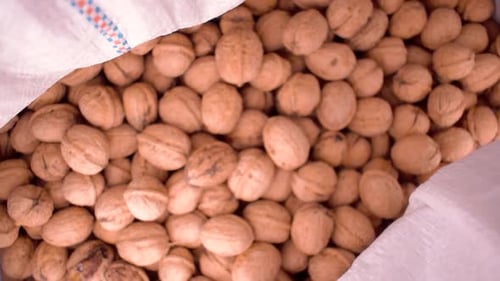Dried walnuts in a bag. Closeup shot which zooms out in a cinematic way.