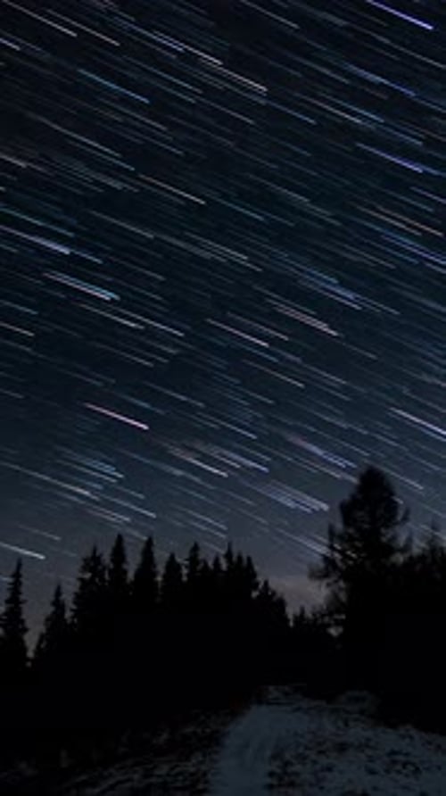 Starry Night Sky Above Forest Ridge