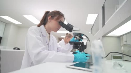 Scientists Using Microscopes in Brightly Lit Laboratory