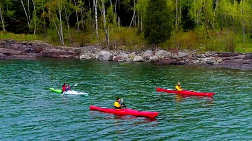 Three Kayakers on Lake Next to Forest Trees Kayaking Aerial Drone
