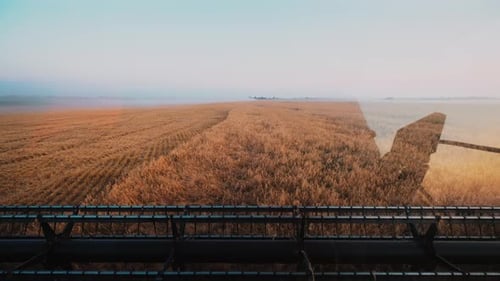 Harvesters for Harvesting Grain While Working View From the Combine Harvester Cab Harvesting