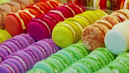 Multicolored Macaroons Sweet Almond French Dessert Delicious Gourmet Food