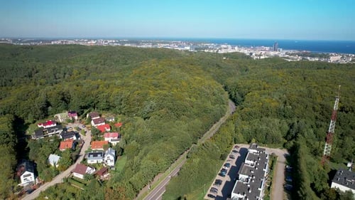 Une vue d'un fourré dense près de la ville côtière de Witomino à Gdynia, en Pologne. Prise de vue aérienne