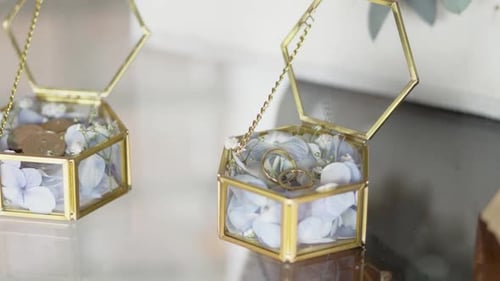 Golden Wedding Rings in Elegant Glass Boxes