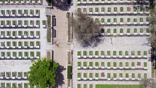 Cimetière militaire du Memorial Day avec des officiers de l'armée en uniforme blanc.