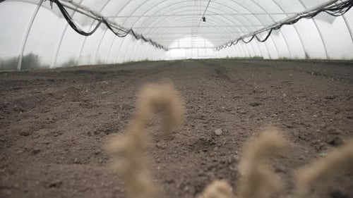 Exploring a well-prepared greenhouse ready for planting with rich soil and optimal conditions