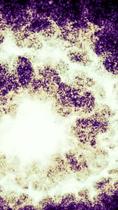 Abstract Lighting Dust Particle and Glare on a Dark Background