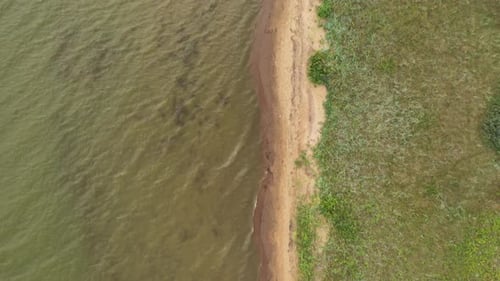 AERIAL: Top Down Flying Over Coast with Green Grass and Shallow Water