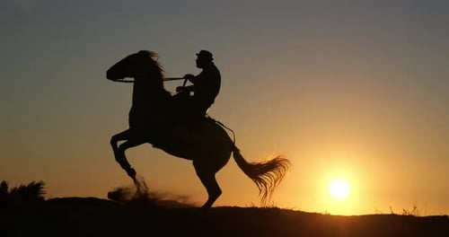 Horse and Rider Silhouette at Golden Sunset