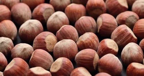 Pile of Shelled Hazelnuts, Close Up