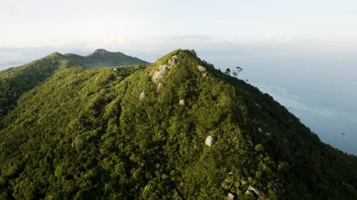 Drohne distanziert an einem schönen Sommertag einen Berggipfel des tropischen Waldes und enthüllt die Landschaft mit