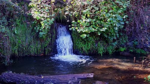 Waterfall in the forest next to a stream and a fallen tree. Aquatic landscape in the forest. Relaxin