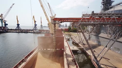 Grain Loading to Bulker Ship Cargo Container at Sea Grain Terminal in Seaport Wheat Shipment From