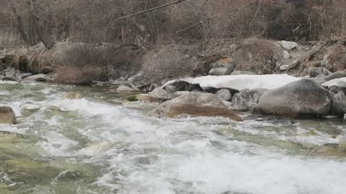 Mountain River Flowing Between Rocky Shores Summer Mountain River in Wood Water and Stones Slow