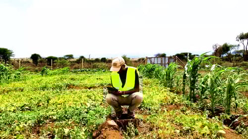 Rural agricultural farms in Kenya. Drone pilot land survey. Smart Agriculture technology.