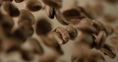 Coffee beans are falling close-up