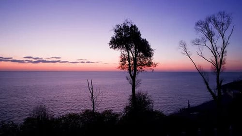 Scenic View of Silhouette Trees at Seashore During Sunset