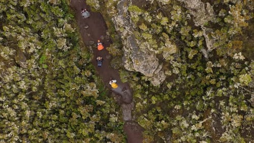 Vue aérienne des randonneurs sur les sentiers forestiers étroits du Kilimandjaro