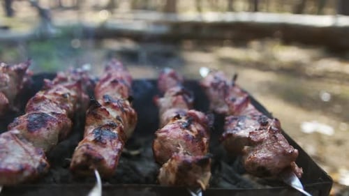Close Up Ready Bbq Lying on Barbecue Grill Outdoor. Macro of Pork