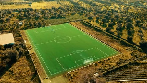 Green Soccer Field Sport in Nature Among Olive and Fruit Trees