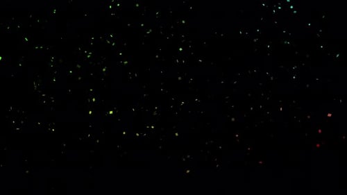 Confetti Particles Falling Explosion Glitter Glittering Gold Particles in Slow Motion Glamour