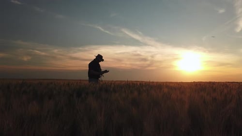 Silhouette Of An Agronomist Checking On Crops During Golden Hour Field Landscape. - Static Shot