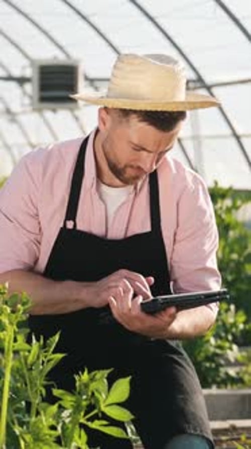 Farmer Inspecting Plants with Tablet in Greenhouse
