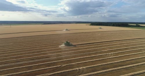 Aerial Side View of Combine Harvester on the Wheat Field