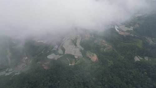 Aerial view vegetable plantation at Cameron Highlands view through foggy cloud