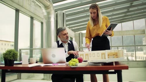 Two Architects with Model of a House Standing in Office, Talking