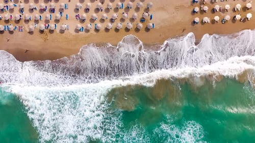 Top Down View of the Sea Sandy Beach Sun Umbrellas and Sunbeds