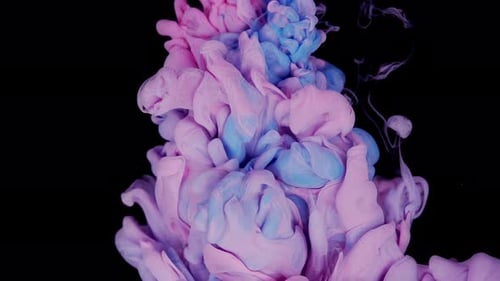 Swirling Pink and Blue Ink Cloud Dissolving