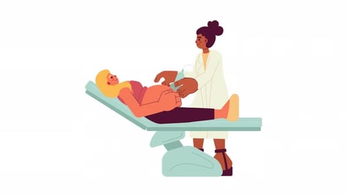 Animated Ultrasound Scan of Pregnant Woman Examination