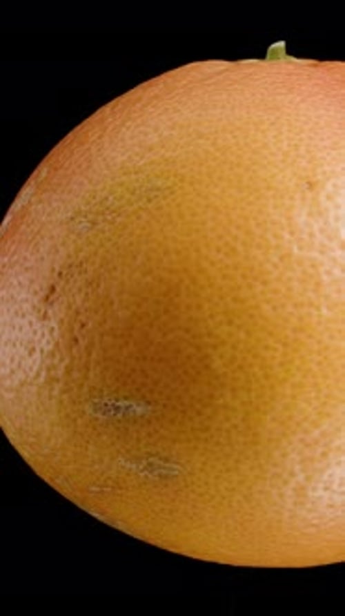 Vertical video. Isolated grapefruit, smoothly rotating on a black background. Close-up loop.